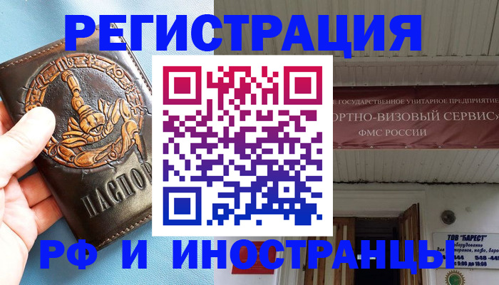 прописка поиск в Кольчугино